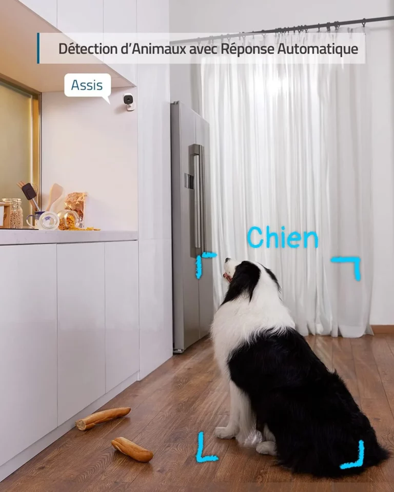 Eufy Indoor Cam 2K animaux
