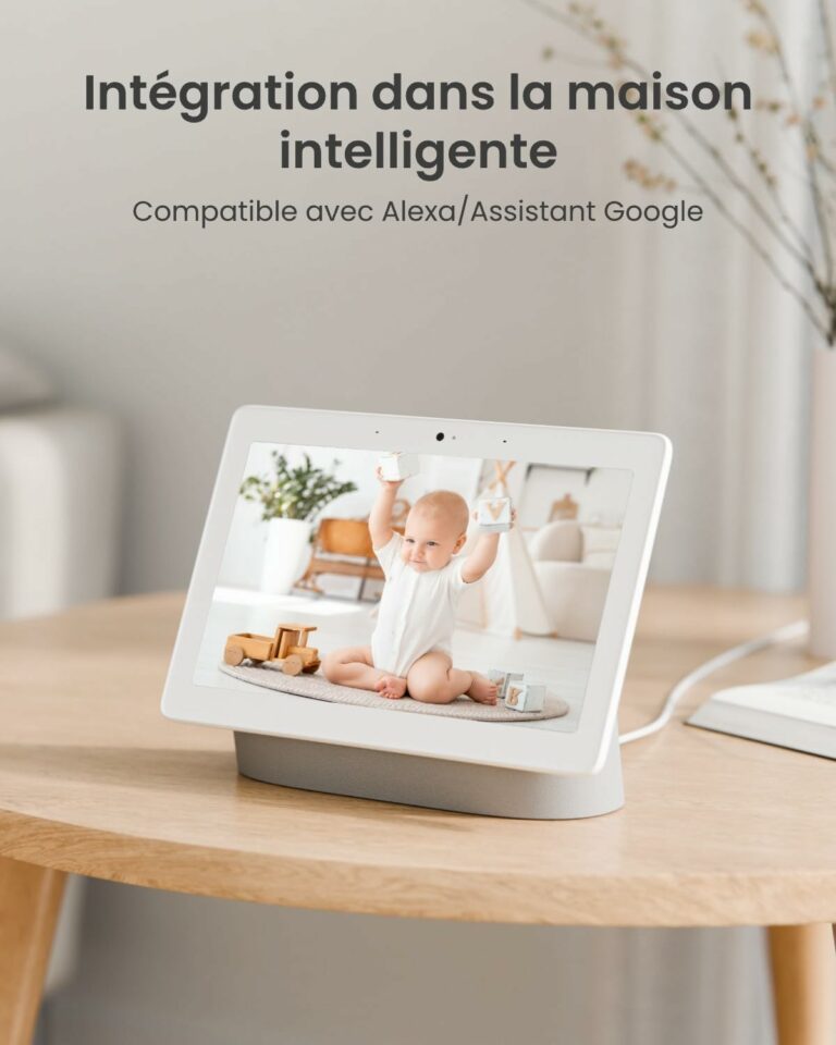 reolink camera E1 pro compatible google